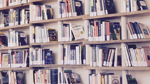 Books for World Book Day: Book library filled with a variety of books.
