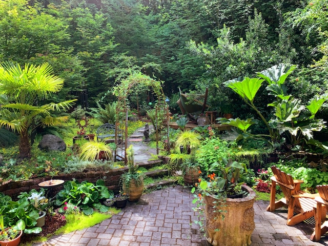 Budget garden decking ideas: A garden with plants, outdoor furniture and ornaments