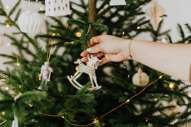 A person hanging lights and white & gold ornaments on a natural Christmas tree
