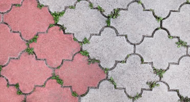 Bradstone Old Town Paving: Multi-coloured paving with weeds growing in between the pavers