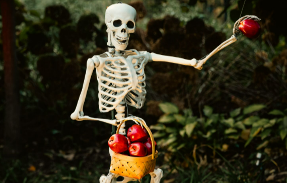 Halloween fruit ideas: A skeleton holding a basket of red apples as a Halloween decoration.