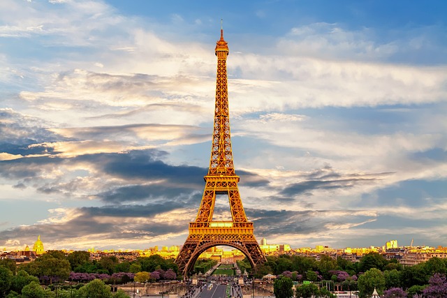 Beautiful landscape of the Eiffel Tower in France surrounded by greenery and buildings.