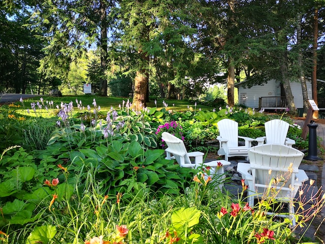 Garden ideas on a budget: A garden with outdoor and a variety of flowers, plants and trees