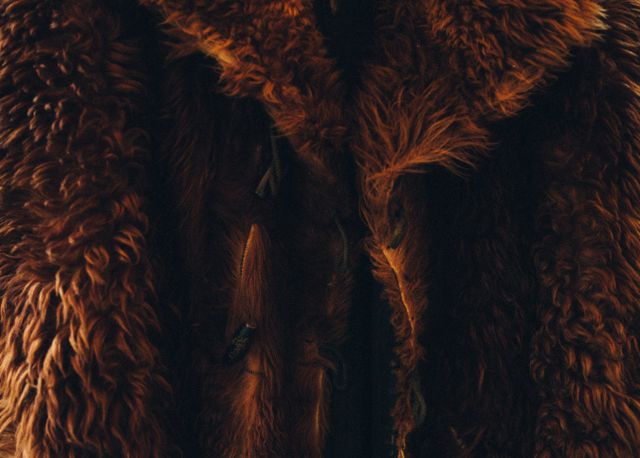 Dark brown coats: A close-up of a dark brown fur coat with buttons