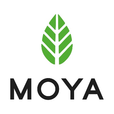 Moya Matcha