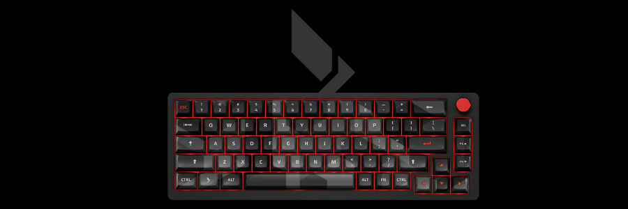 Das Keyboard cashback