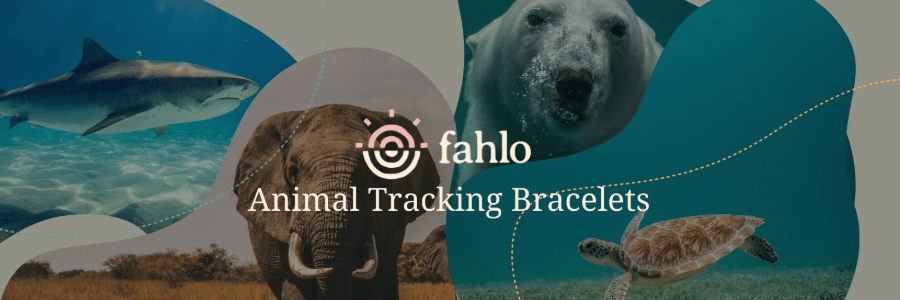 Fahlo cashback