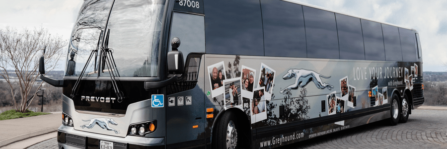 Greyhound cashback