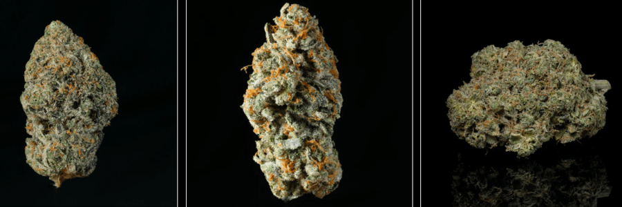 LIT Farms cashback