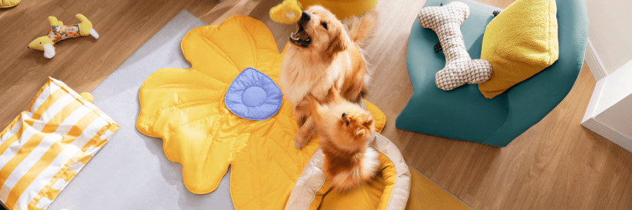 FunnyFuzzy  cashback