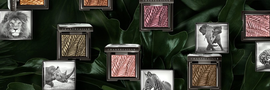 Chantecaille cashback