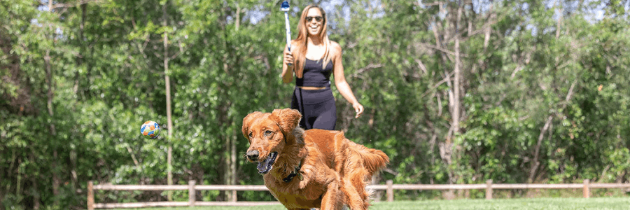 Petmate cashback