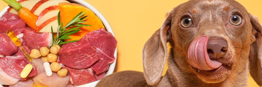 Pooch and Mutt cashback