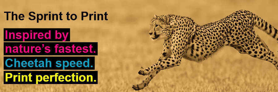 PrintSafari.com cashback