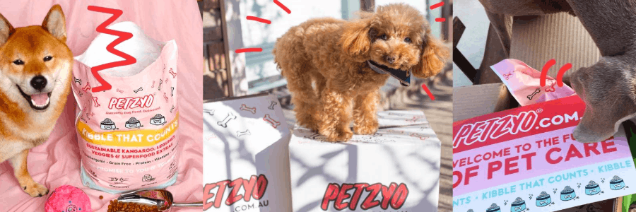 Petzyo cashback