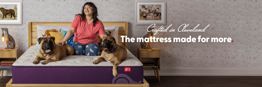 Big Fig Mattress cashback