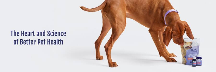 Ellevet Sciences cashback