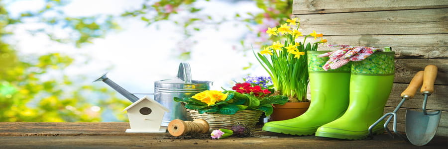 Original Organics cashback