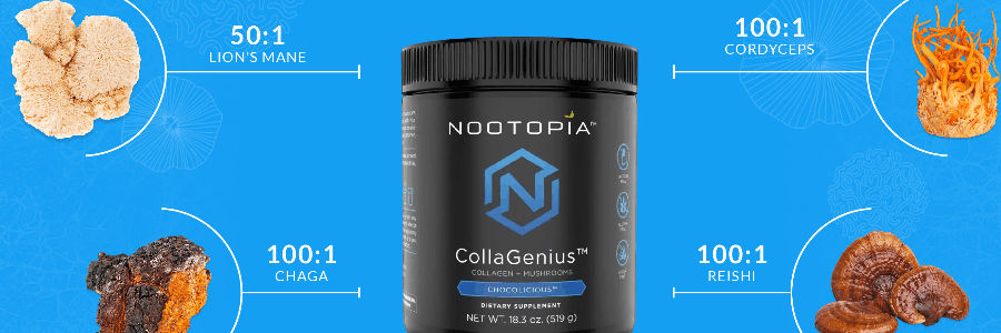 Nootopia cashback