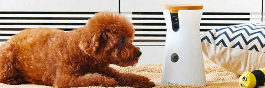 Furbo Dog Camera cashback
