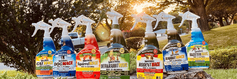 Nature's Mace cashback