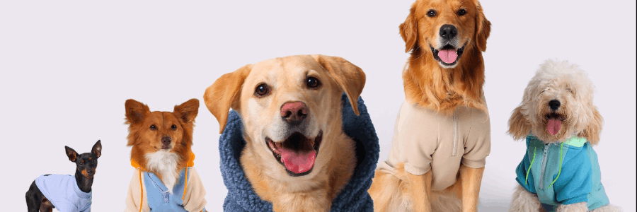 Crown & Paw cashback