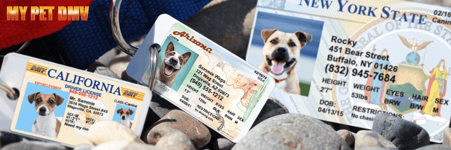 MyPetDMV cashback