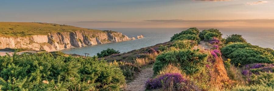 Isle of Wight Hideaways cashback