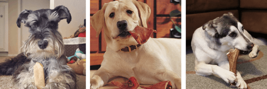 EcoKind Pet Treats cashback