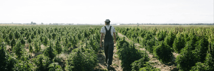 Lazarus Naturals cashback