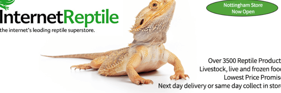 Internet Reptile cashback