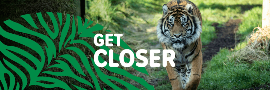Zoological Society of London cashback