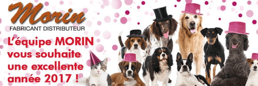 Morin cashback