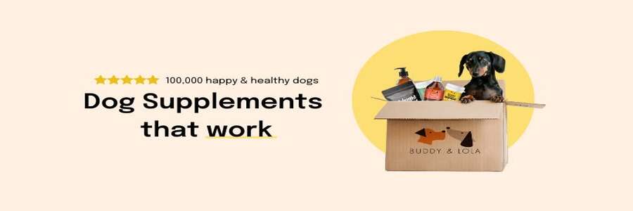 Buddy & Lola cashback