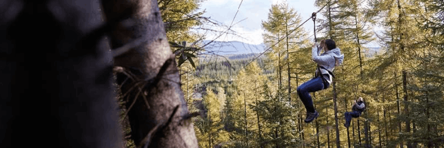Go Ape cashback
