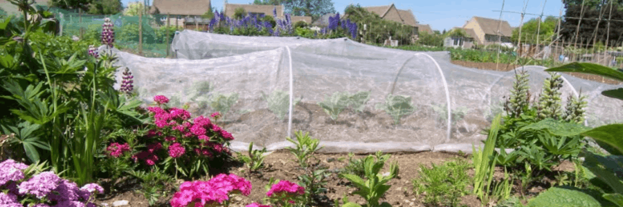 Gardening Naturally cashback