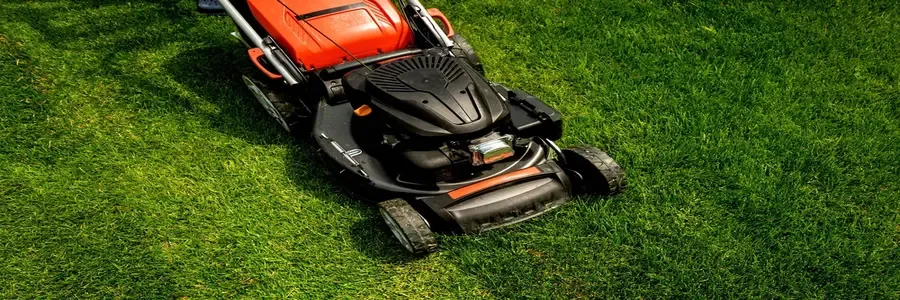 Lawn Mowers cashback