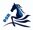 One Stop Racing logo
