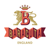 Baracuta codici coupon