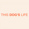 This Dog’s Life logo