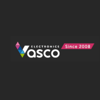 Logo Vasco Electronics