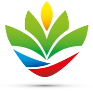 Hammock Bliss discount codes and coupon codes