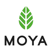 Moya Matcha kedvezménykódok és kuponkódok