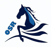 One Stop Racing discount codes and voucher codes