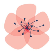 American Blossom Linens discount codes and coupon codes