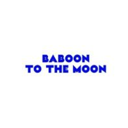 Baboon To The Moon discount codes and coupon codes