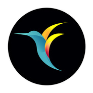 Bebird US discount codes and coupon codes