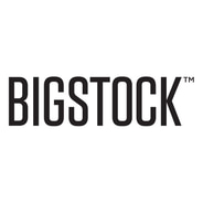 Bigstock discount codes and coupon codes
