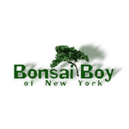 Bonsai Boy discount codes and coupon codes