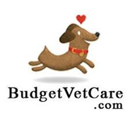 Budgetvetcare discount codes and coupon codes